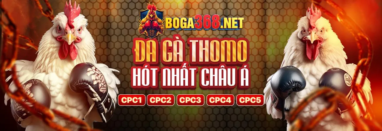 Open88 cam kết cá cược có trách nhiệm và trách nhiệm xã hội